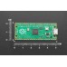 Raspberry Pi Pico